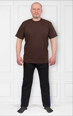 Футболка мужская, коричневый (67-9)
